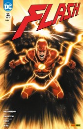V.11 - Flash