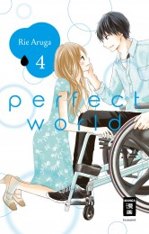 V.4 - Perfect World