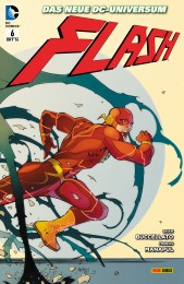 V.6 - Flash