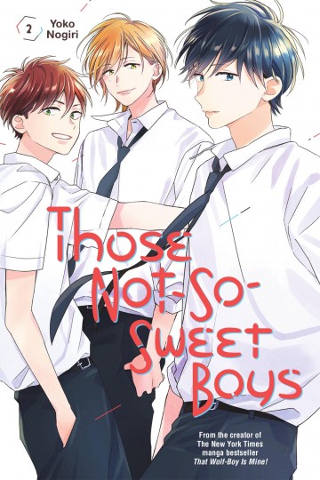 Those Not-So-Sweet Boys - Those Not-So-Sweet Boys 2