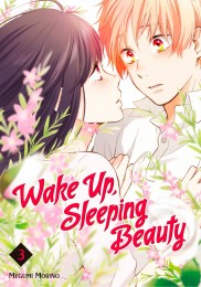V.3 - Wake Up, Sleeping Beauty