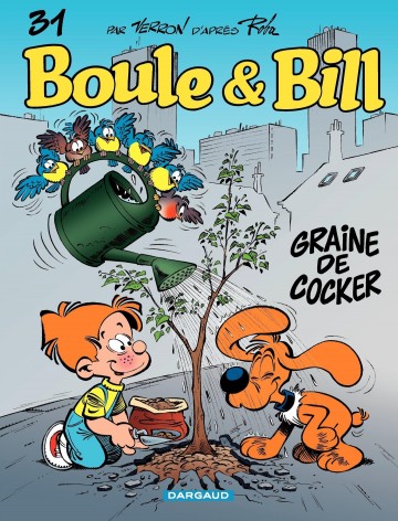 Boule & Bill - Boule & Bill - Tome 31 - Graine de cocker