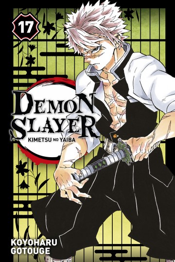 Demon Slayer - Demon Slayer T17