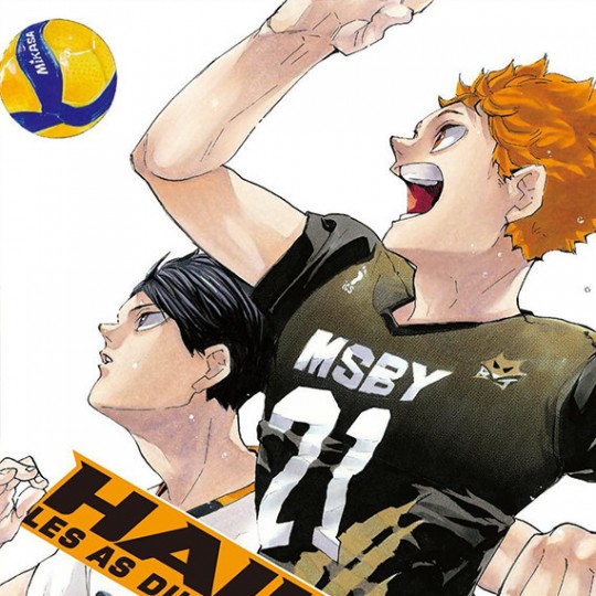haikyu manga shonen de sport sur le volley