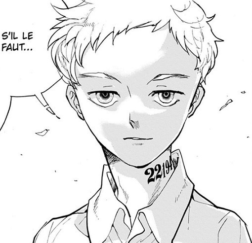 The Promised Neverland  Norman